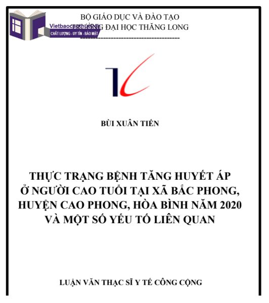 Luận văn thạc sĩ công cộng mẫu 1
