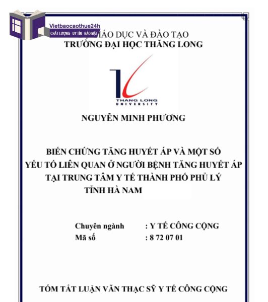 Luận văn thạc sĩ công cộng mẫu 2