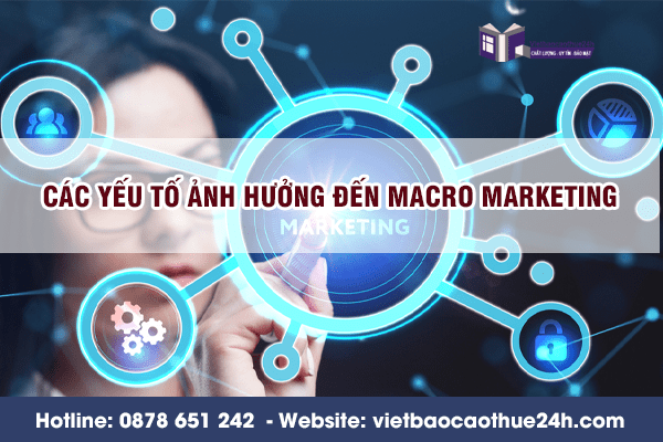 Các yếu tố ảnh hưởng đến Macro Marketing