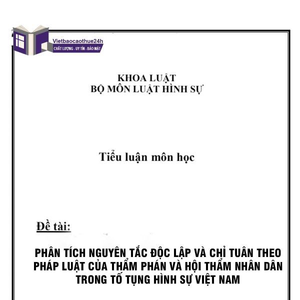 Tiểu luận luật tố tụng hình sự