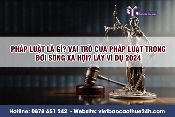 Pháp luật là gì? Vai trò của pháp luật trong đời sống xã hội? lấy ví dụ 2024