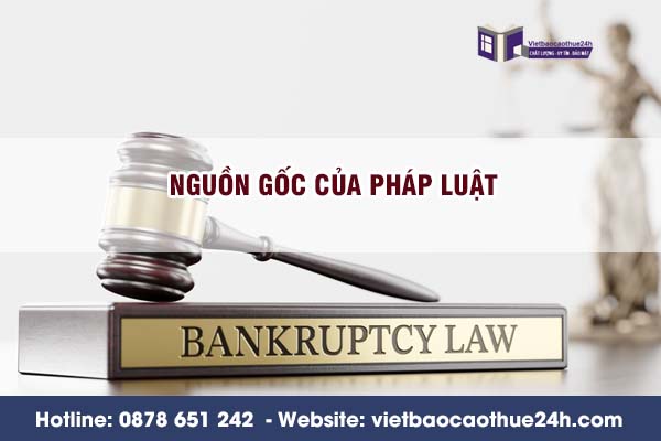 Nguồn gốc của pháp luật