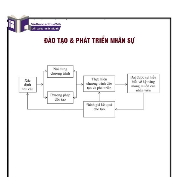 Đào tạo huấn luyện và phát triển lao động