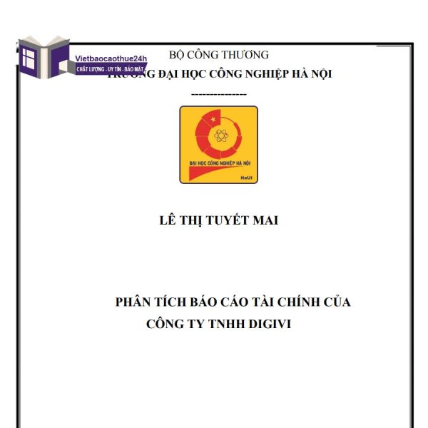 Phân tích báo cáo tài chính Công ty của TNHH Digivi