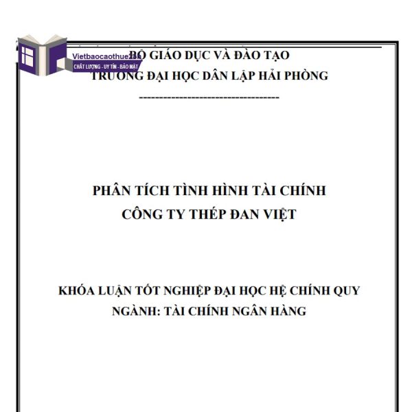 Phân tích tình hình tài chính tại Công ty thép Đan Việt