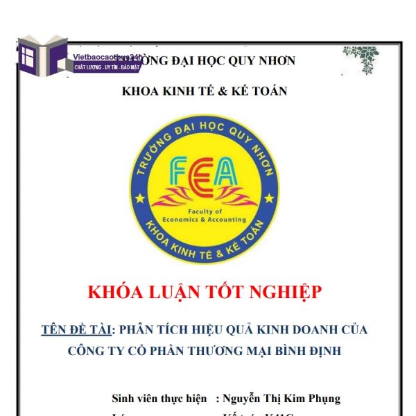 Khoá luận tốt nghiệp phân tích hiệu quả kinh doanh của Công ty Cổ phần Thương mại Bình Định